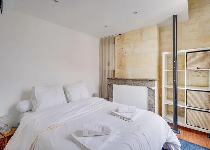 Cozy Duplex - Heart Of Chartrons 波尔多